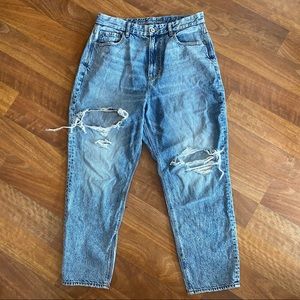 American Eagle Curvy Mom jean